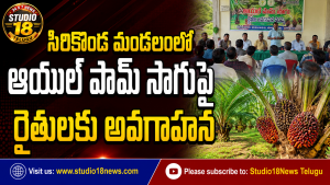 ఆయిల్ పామ్ సాగుపై రైతులకు అవగాహన సదస్సు